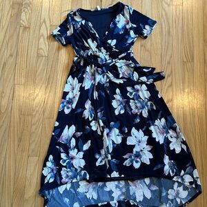 Pink Blush Blue Floral Maternity Dress